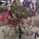 Victoria regia 2023 - 380777194_7122571497762007_7625743239829257600_n