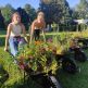Victoria regia 2023 - 381367420_7122566557762501_8422731386551410717_n