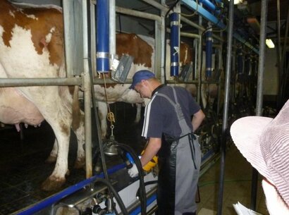 Mladý ekofarmár 2015