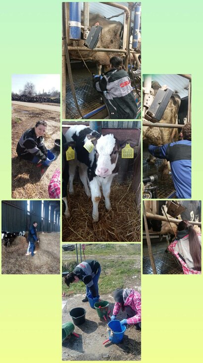 Podnikateľ pre rozvoj vidieka