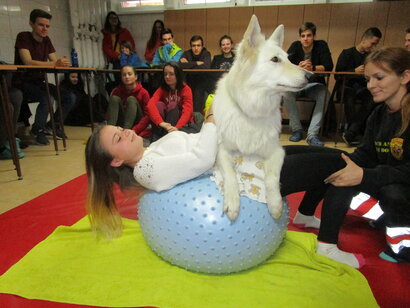 Workshop ŽILINA