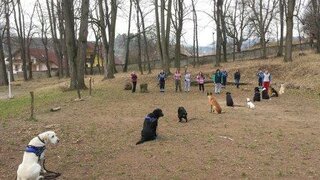 Popoludnie s K-9 training center
