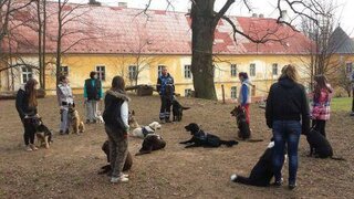 Popoludnie s K-9 training center