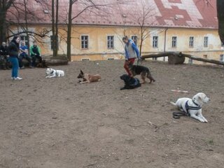 Popoludnie s K-9 training center