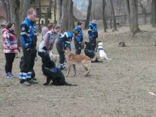 Popoludnie s K-9 training center