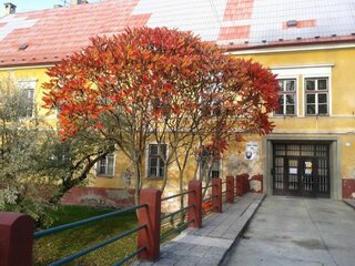 hlavný vchod do školy