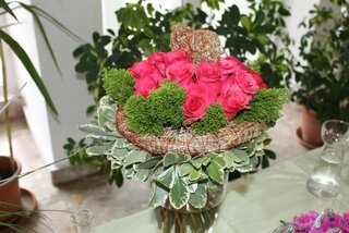 IMG_8967