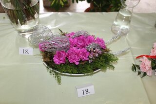 IMG_8968