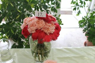 IMG_8970