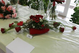 IMG_8971