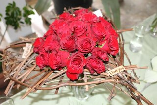 IMG_8974