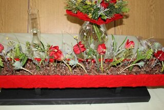 IMG_8980
