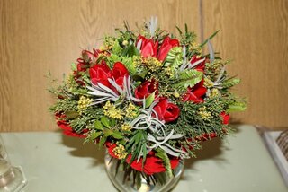 IMG_8981