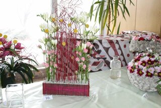 IMG_8995