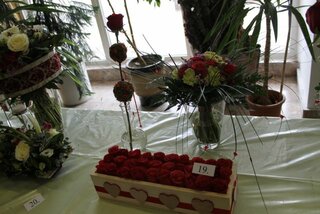 IMG_9026