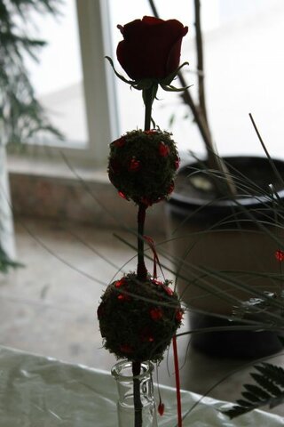 IMG_9027