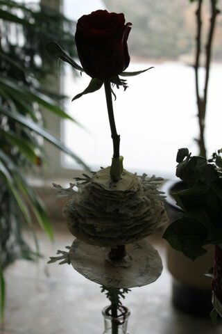 IMG_9029