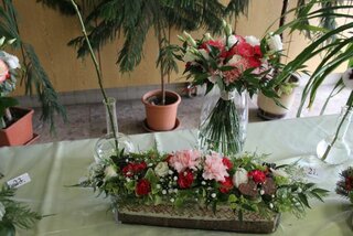 IMG_9033
