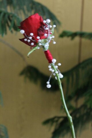 IMG_9034