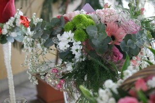 IMG_9051