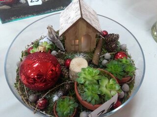IMG_20171214_134712