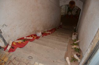 Dsc 5354