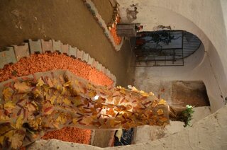 Dsc 5360