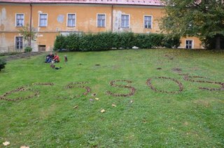 Dsc 5378