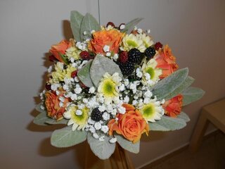 DSCN0020