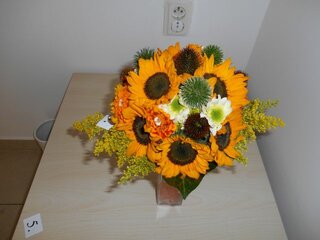 DSCN0022
