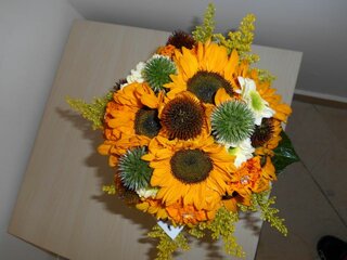 DSCN0023