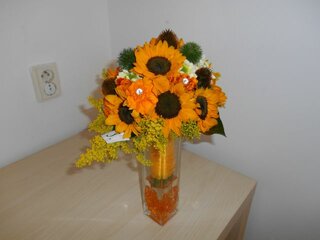 DSCN0025