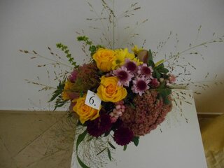 DSCN0049