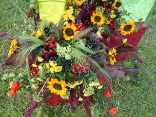 DSCN0091