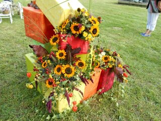 DSCN0092
