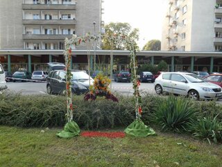 DSCN0093