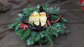 20181024_111313_resized