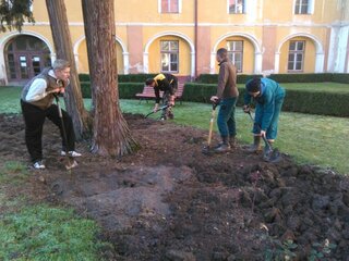 IMG_20151123_103702