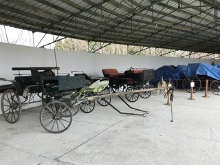 F 1