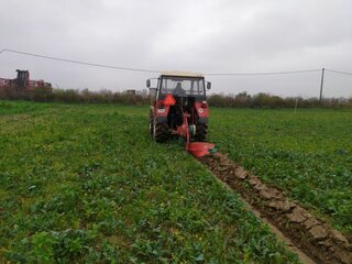 IMG_20221110_080117