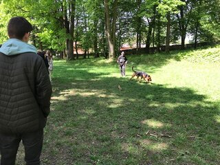IMG_5413