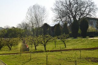 DSC_4799