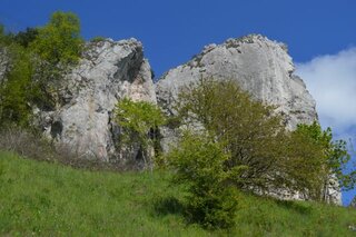 DSC_1092