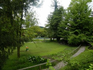 DSCF7711
