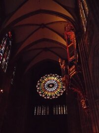 SAM_3669
