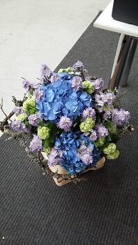 20160429_101912