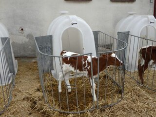 P4180349