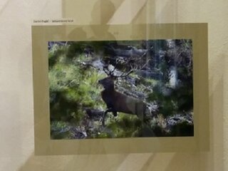 20160407_131025