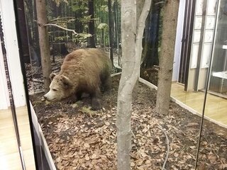 20160407_131305