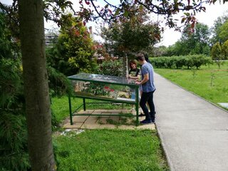 IMG_20190601_112730